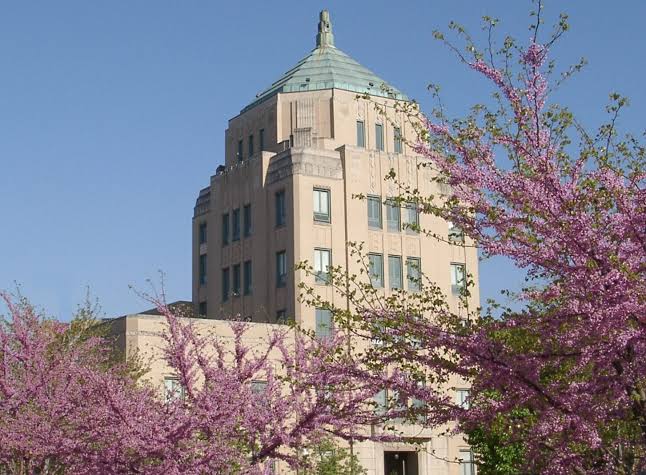 Champaign steps up efforts to curb gun violence images